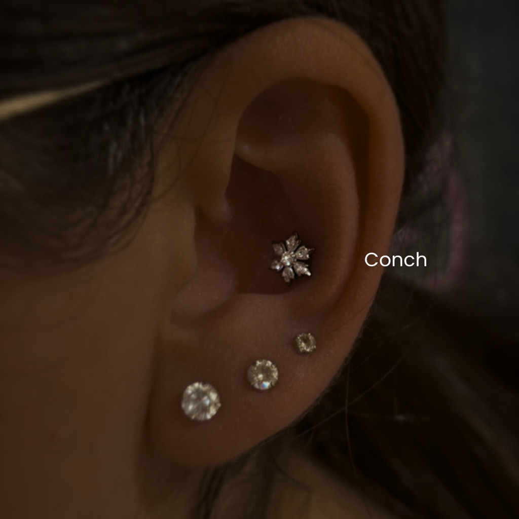 Snowflake Black CZ Threadless Labret Titanium Flat Back Earring