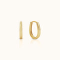 Horseshoe Shaped Hoops