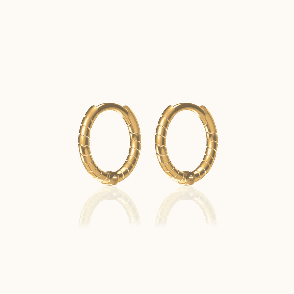 Twisted Hoop Earrings