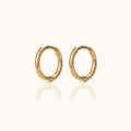 Twisted Hoop Earrings