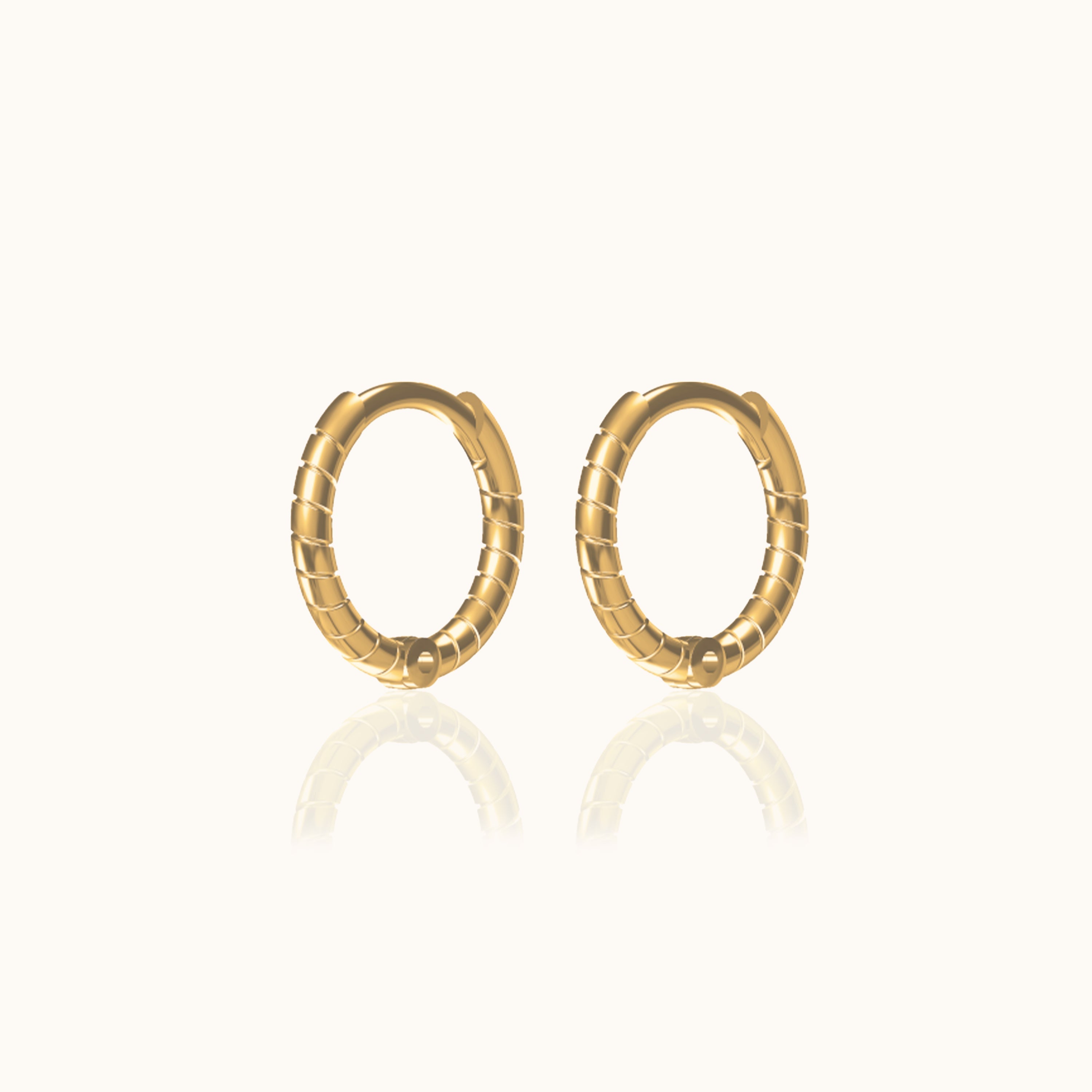 Twisted Hoop Earrings