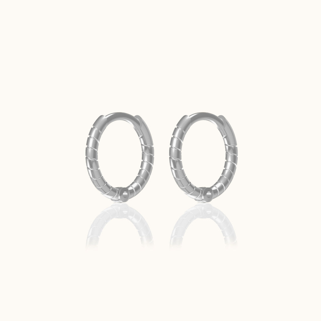 Twisted Hoop Earrings
