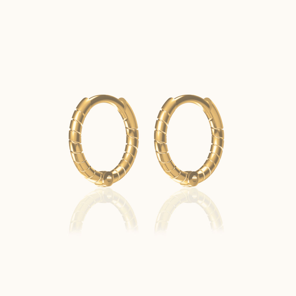 Twisted Hoop Earrings