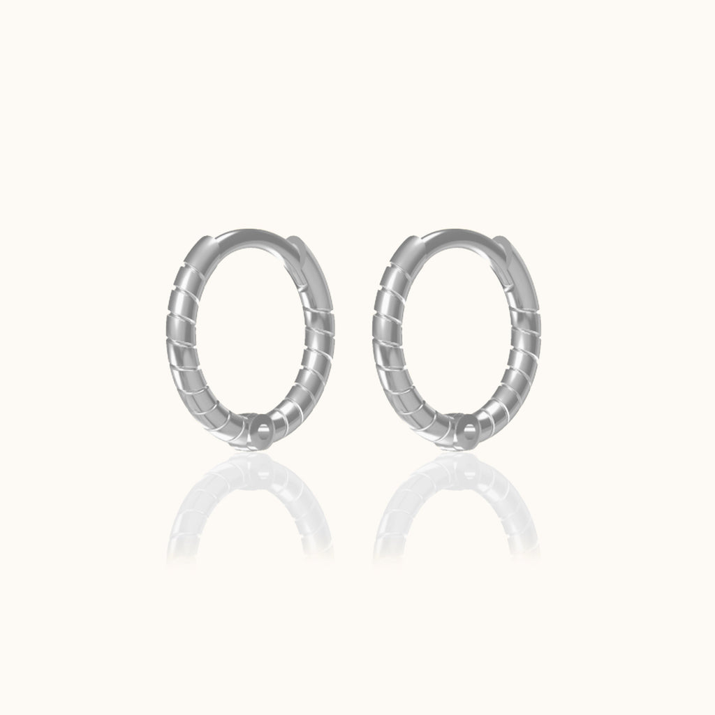 Twisted Hoop Earrings